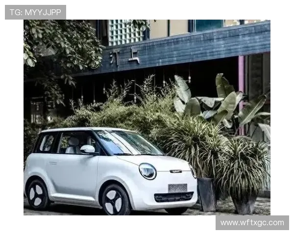 12万上下合资畅销代步车导购 上班好代步