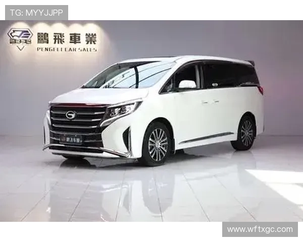 12.88万的 2021款传祺M8白色中大型MPV郑州车,值吗?